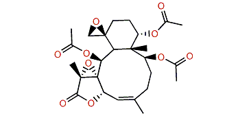 Umbraculolide B